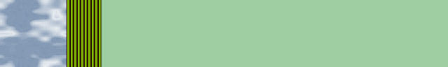 11lgreen