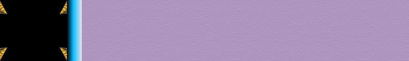 11purple