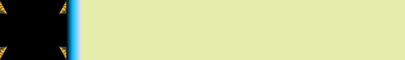 11yellow
