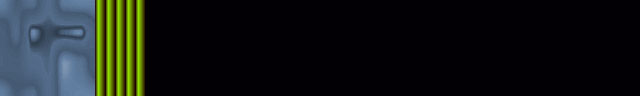 13black