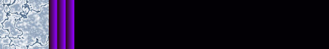 17black