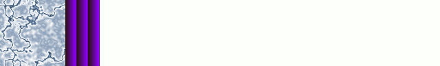 17white