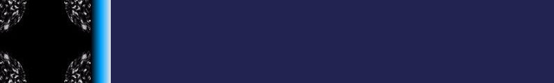 19dblue
