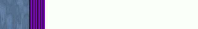 19white