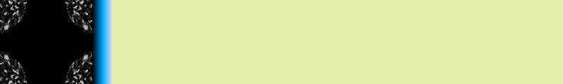 19yellow