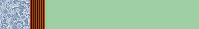 41lgreen