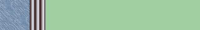 48lgreen