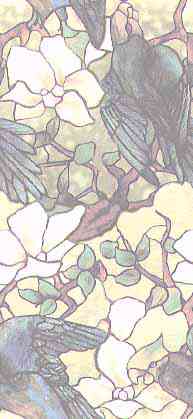 PARROTS
