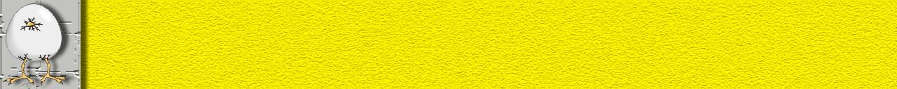 b85