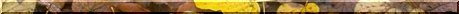 pdjpg1