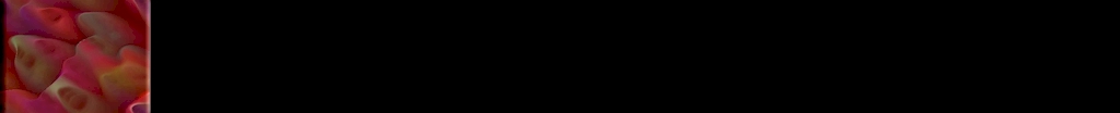 sbre016