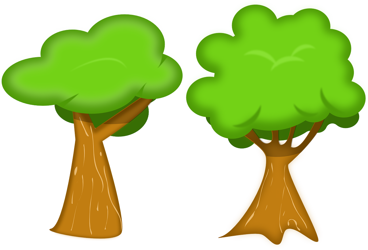 tree