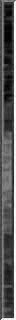 15gray