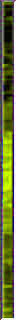15yellow