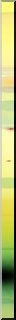 16yellow