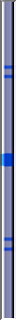 33blue
