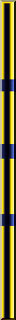 41yellow