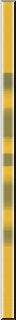 50yellow