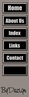 54busdirectory