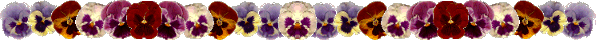 PAN_BAN