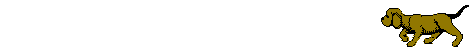aadog