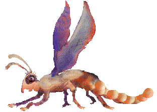 dflys