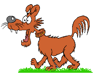 dogbig