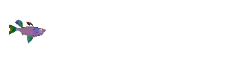 fish515