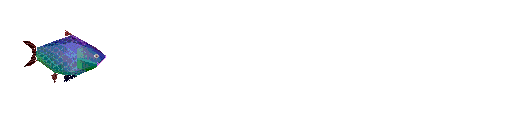 fish_s~1