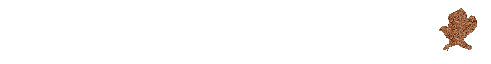 hawk16