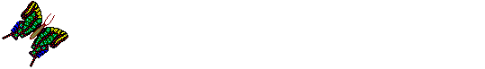 m-btrfly