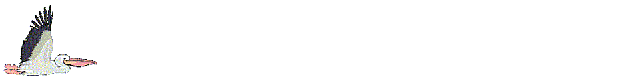 pel_fly