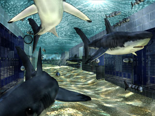 sharkhall