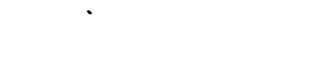 voyanim