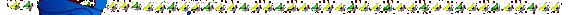 xxbotto2